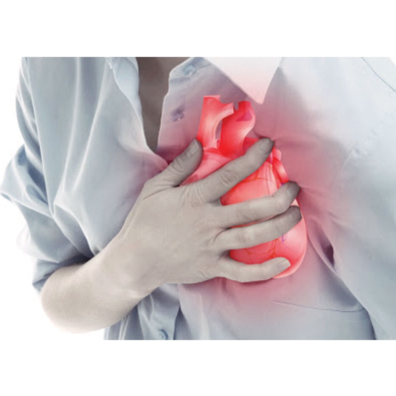 Nanjing Medical University: NMN improves myocardial infarction